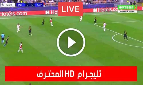 تغطية يلا شوت: المحترف HD تليجرام | livehd | مباريات اليوم بث مباشر