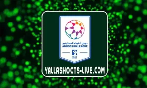 أخبار يلا شوت: ترتيب الدوري الإماراتي 2024 يلا شوت